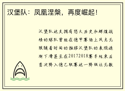 汉堡队：凤凰涅槃，再度崛起！